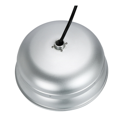 L'alimento della carne fresca dell'alimento LED accende la forgiatura a freddo della verdura della frutta 36 watt