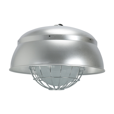 Luci LED per alimenti IP66 per la produzione di farina e particelle fini
