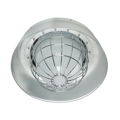 Luci LED per alimenti IP66 per la produzione di farina e particelle fini