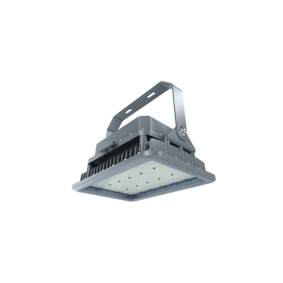 Lampada a prova di esplosione di vendita calda 20-400w industria chimica Ip66 ha condotto la luce a prova di esplosione della stazione di servizio della luce a prova di esplosione