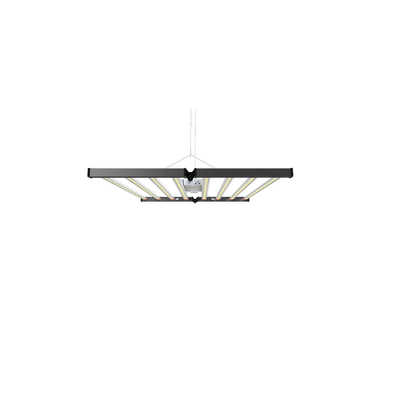 Luci progressive a spettro completo da 5x5 piedi IP66 pieghevoli dimmerabili