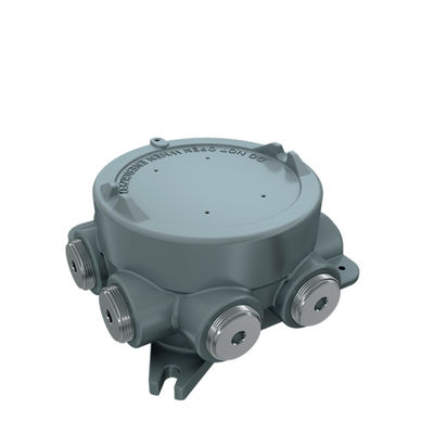 Scatola di derivazione antideflagrante IP66 per inverter per apparecchiature elettroniche