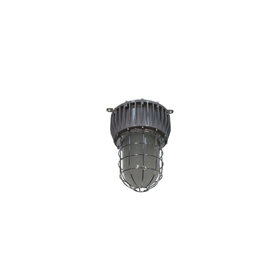 Luci a LED ad alta baia antideflagranti ATEX 40-100W IP66
