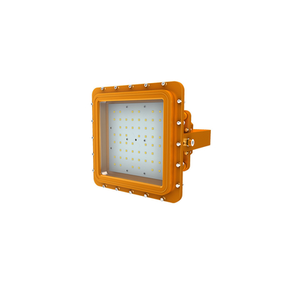 Luce industriale antideflagrante a led IP66 Impermeabile Ik10 Alloggiamento in alluminio Staffa di montaggio in acciaio inox SERIE D