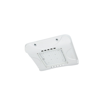 Retrofit del baldacchino del LED della luce del baldacchino del LED IP66 60W per l'illuminazione della stazione di servizio