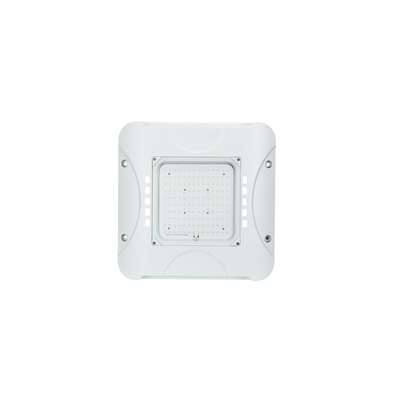 Retrofit del baldacchino del LED della luce del baldacchino del LED IP66 60W per l'illuminazione della stazione di servizio